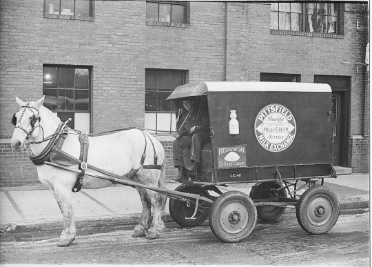 horse-milk-truck.jpg